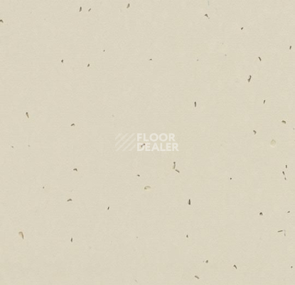 Линолеум Forbo Sphera Energetic 50221 linen фото 1 | FLOORDEALER